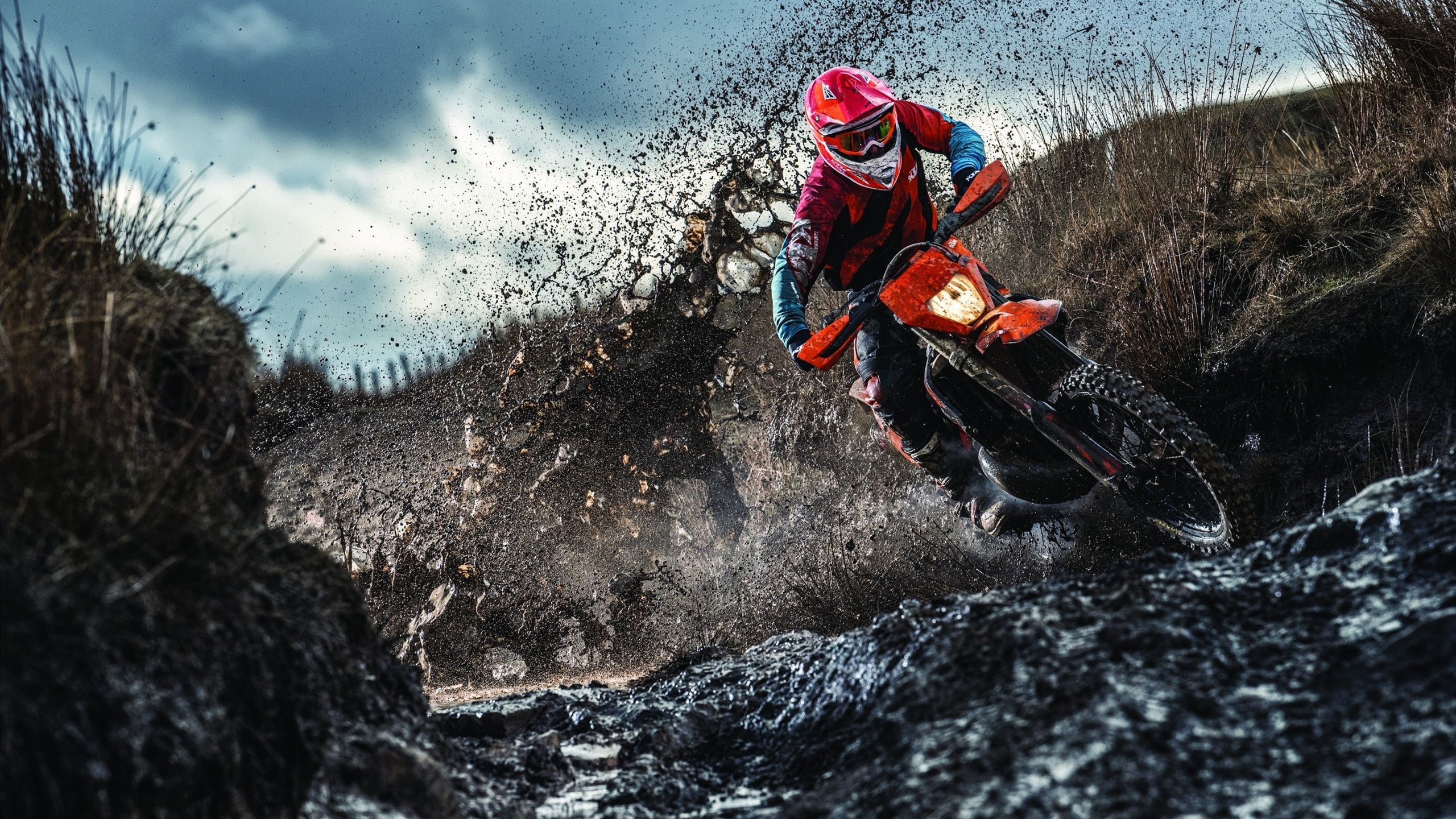 _网球明星慈善赛，场外温情暖人心_，网球 明星