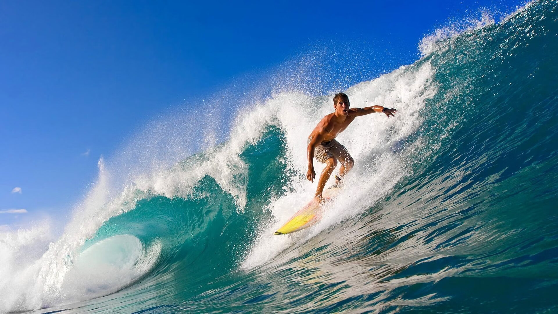_飞盘瑜伽融合：身心合一的新运动形式_，飞盘运动项目介绍